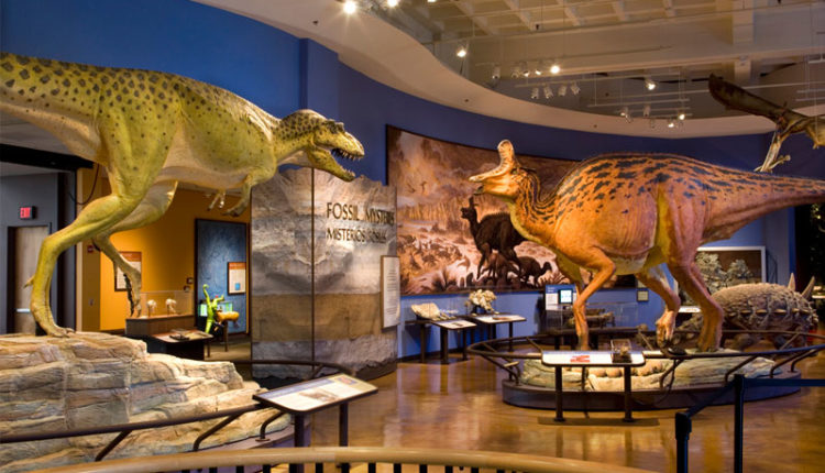 San Diego Natural History Museum