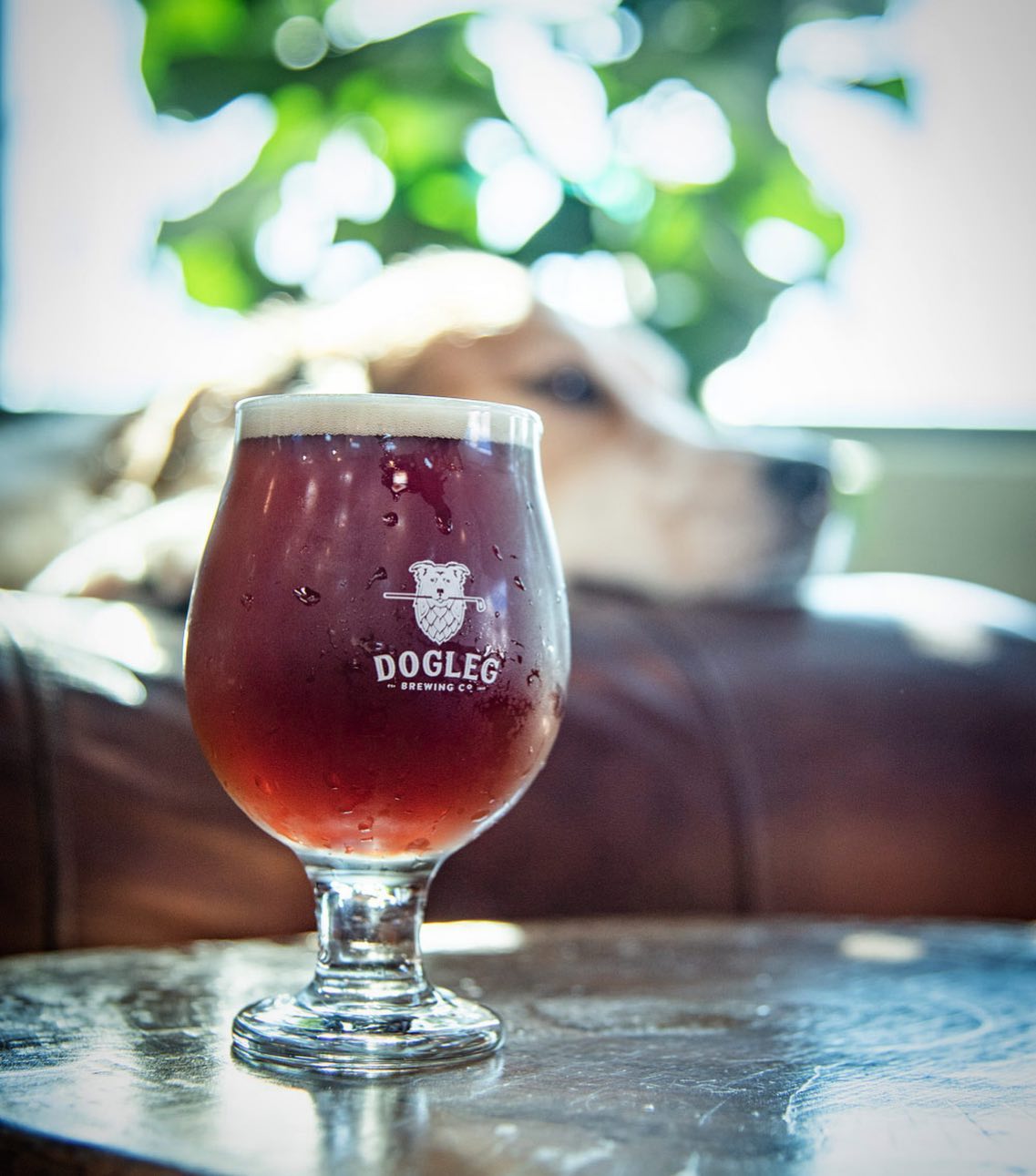 Dogleg Brewing Company